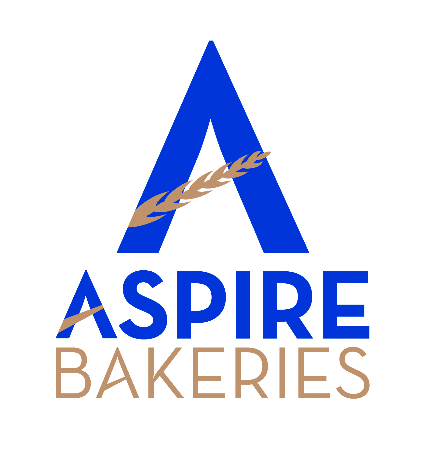 Aspire-master-vert-lg